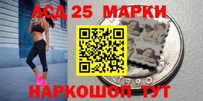 индика Можайск