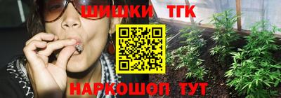 индика Можайск