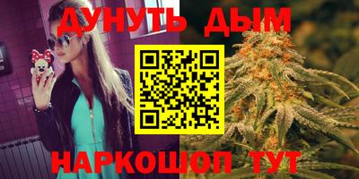 индика Можайск