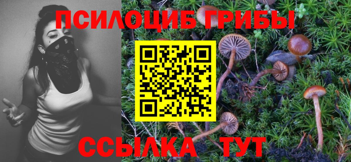 Псилоцибиновые грибы GOLDEN TEACHER  Вход с VPN  Сосновоборск 