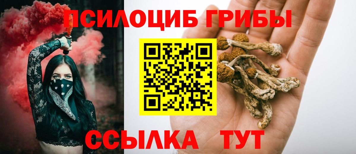 Псилоцибиновые грибы MAGIC MUSHROOMS Сосновоборск